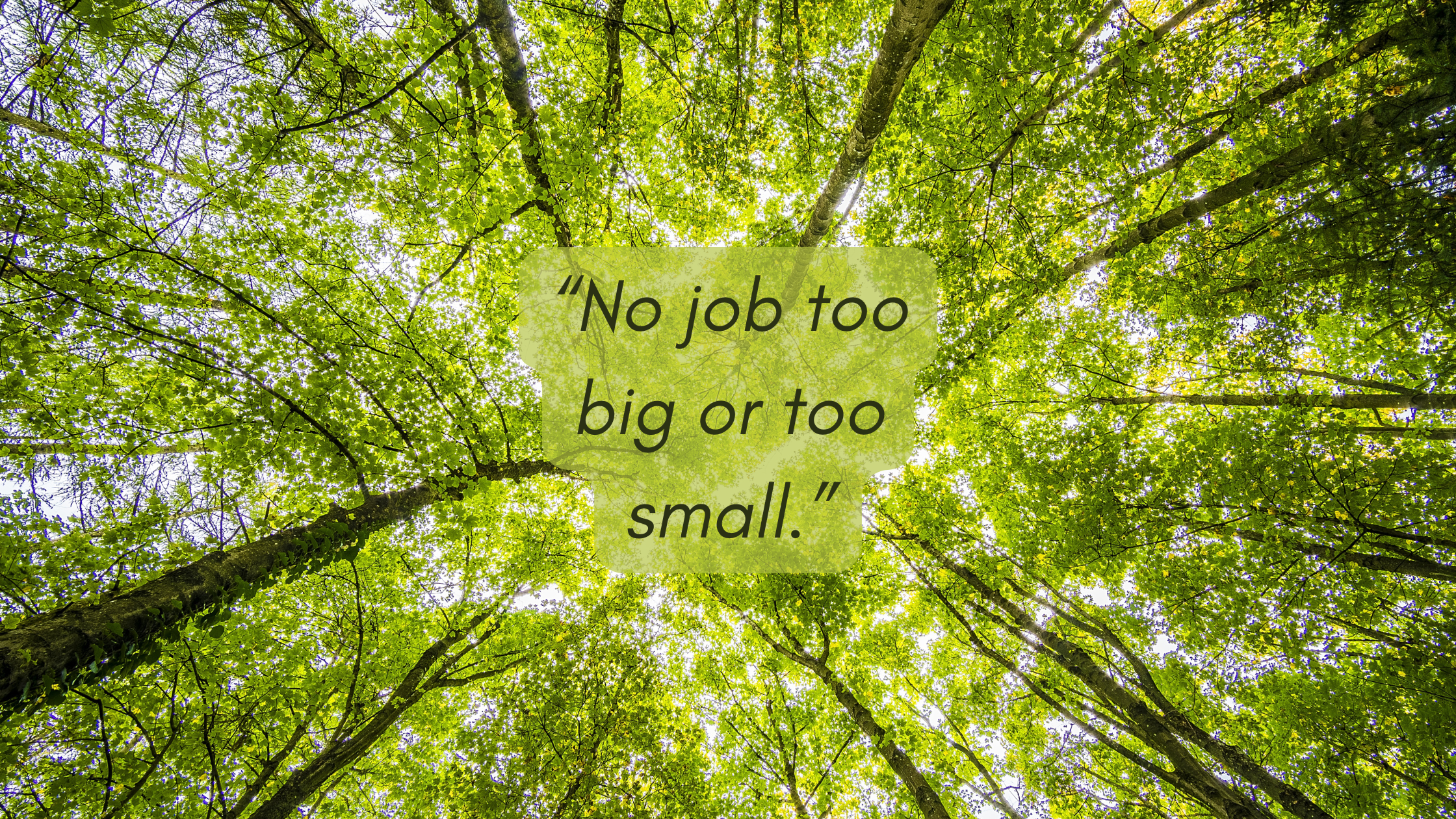 No Job Too Big or Too Small